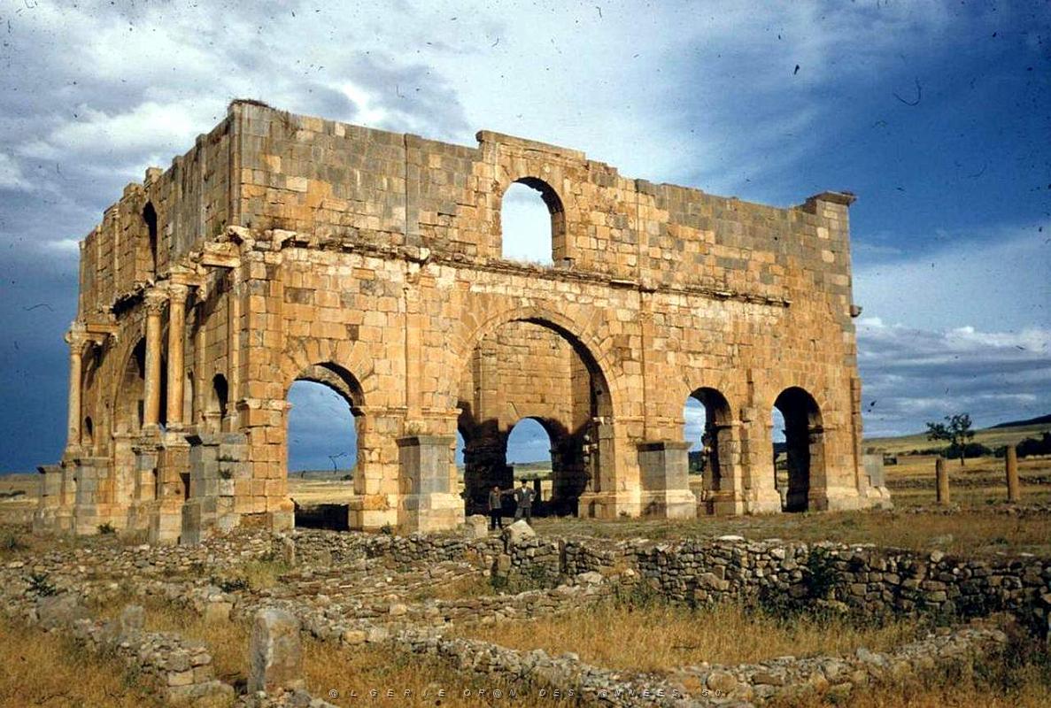 ALGERIE-RUINES ROMAINES DE LAMBESE (29).jpg